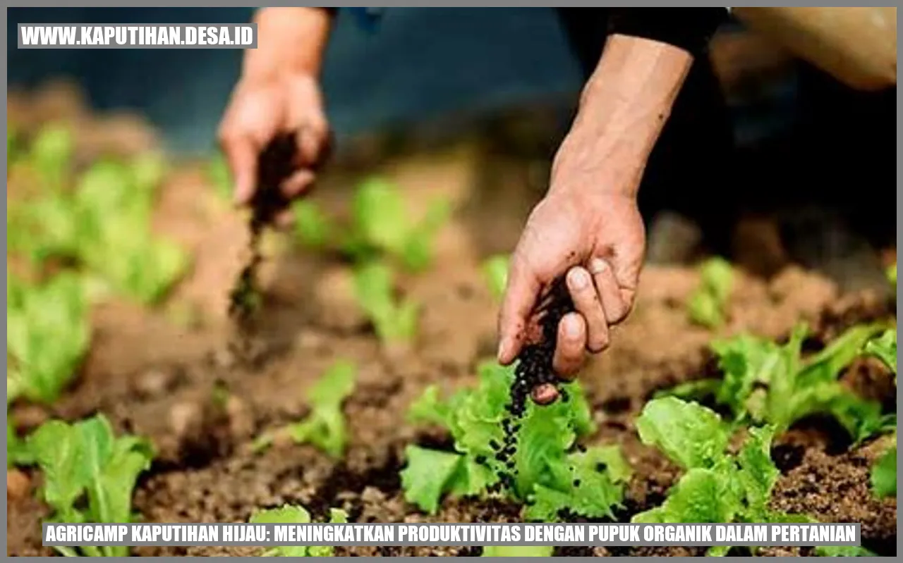 Agricamp Kaputihan Hijau: Meningkatkan Produktivitas dengan Pupuk Organik dalam Pertanian