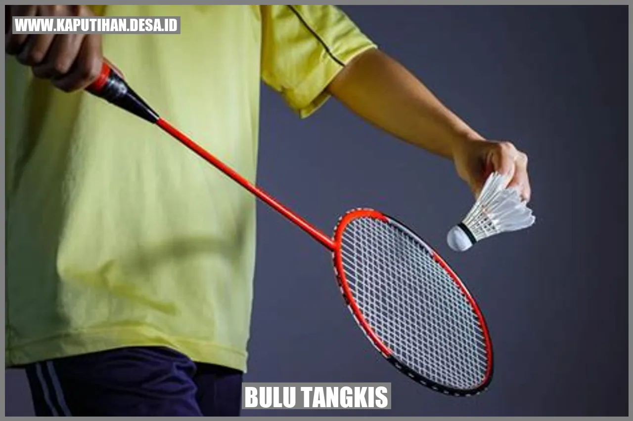 Bulu Tangkis