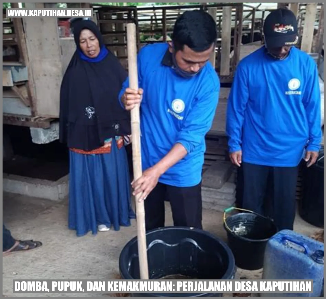 Domba, Pupuk, dan Kemakmuran: Perjalanan Desa Kaputihan