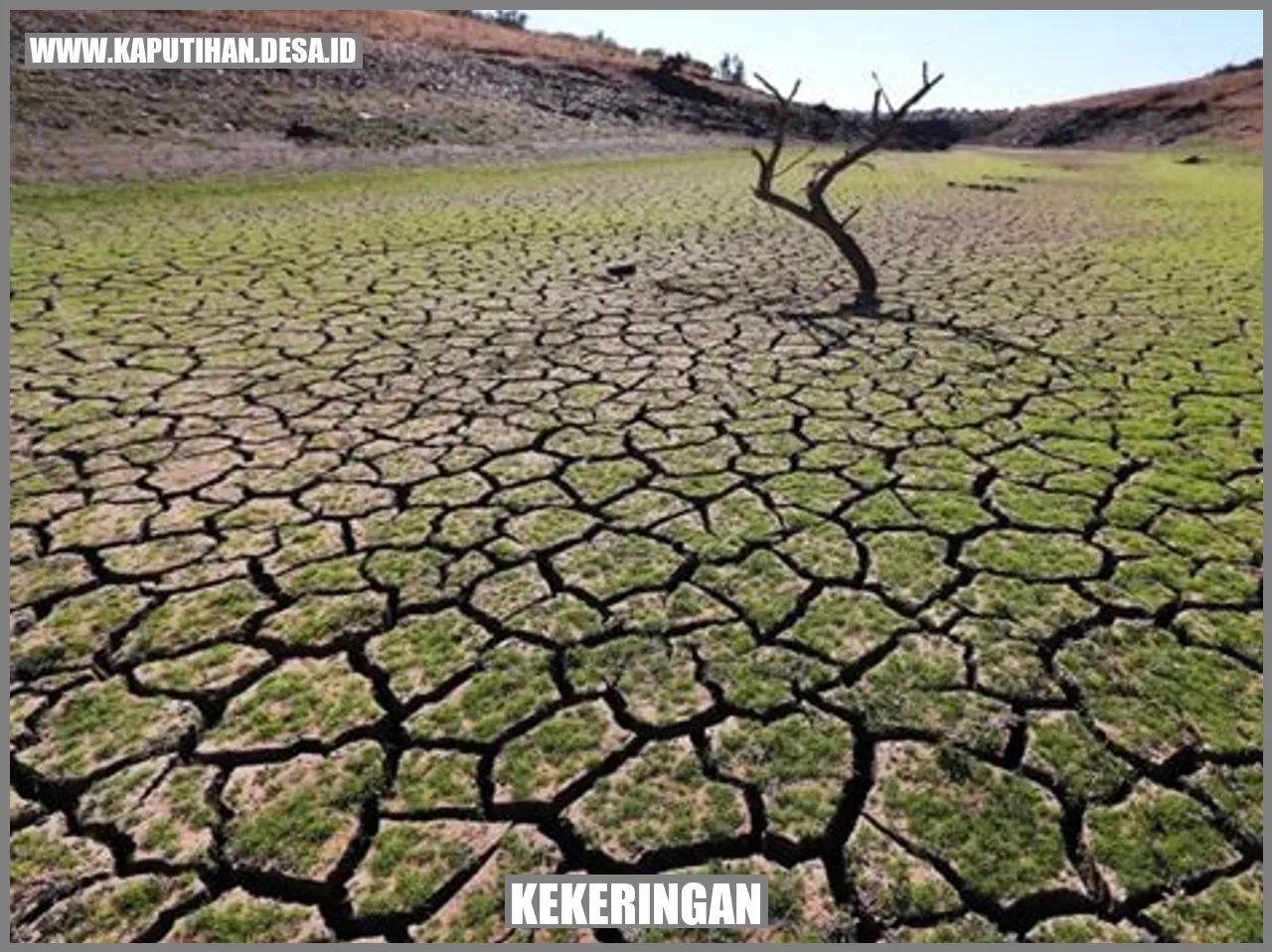 Kekeringan