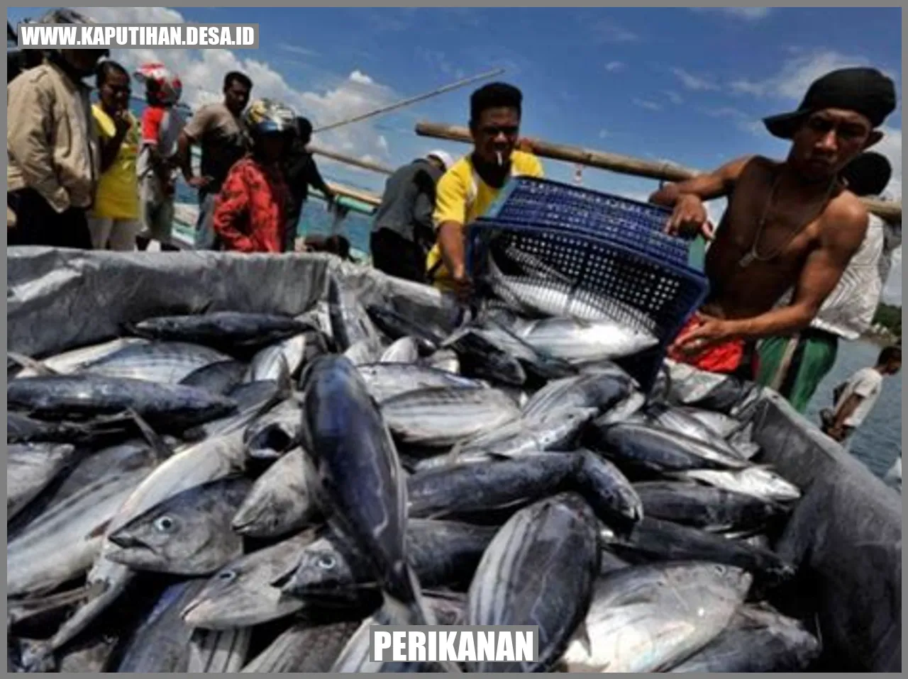 Perikanan