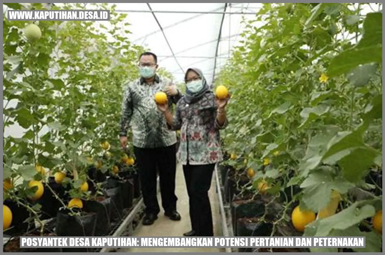 Posyantek Desa Kaputihan: Mengembangkan Potensi Pertanian dan Peternakan